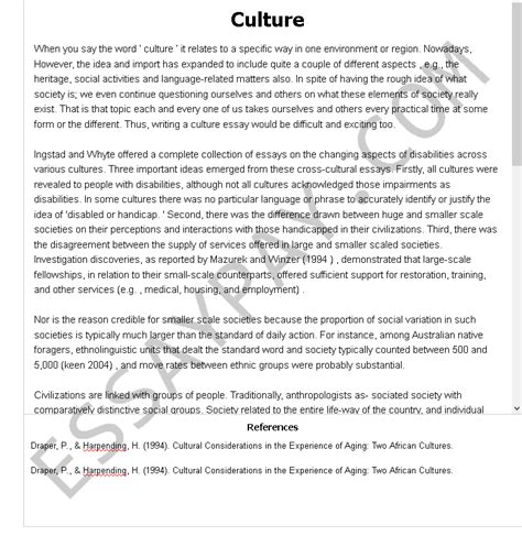 culture essay example